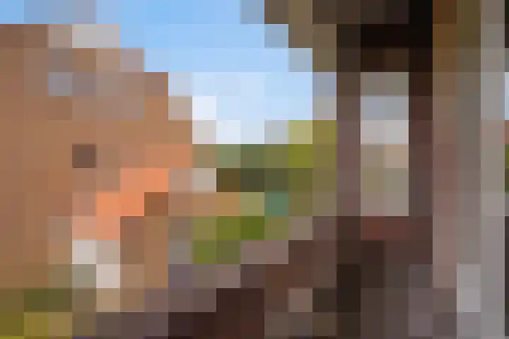 Sijzenlaan 61 Den Haag thumbnail 41