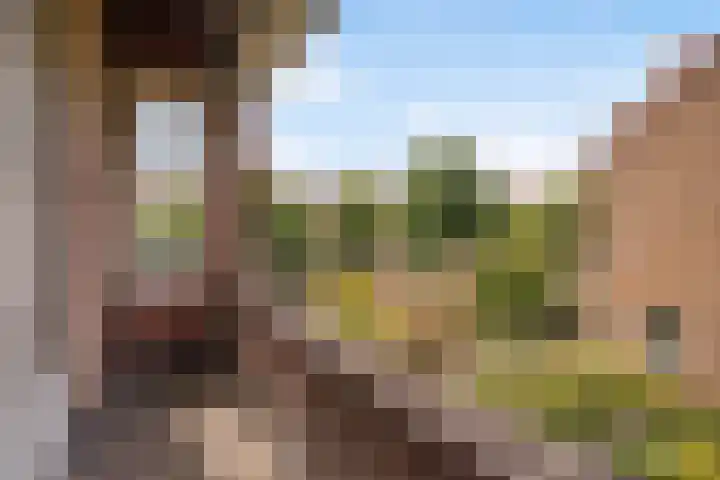 Sijzenlaan 61 Den Haag thumbnail 42