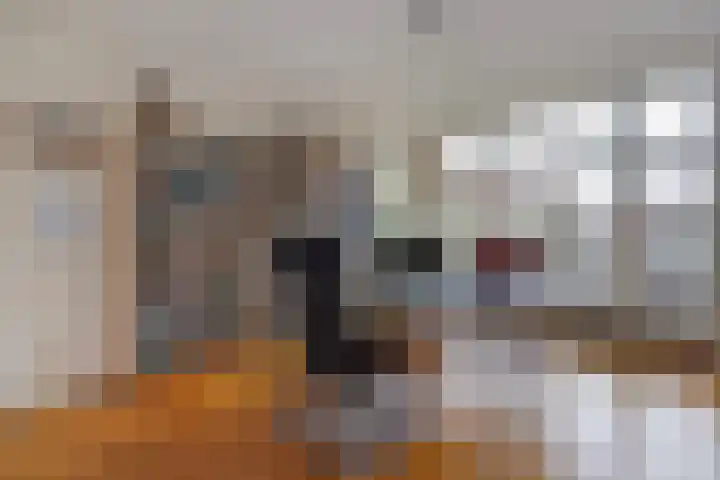 Sijzenlaan 61 Den Haag thumbnail 44
