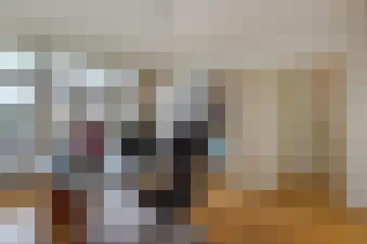 Sijzenlaan 61 Den Haag thumbnail 45