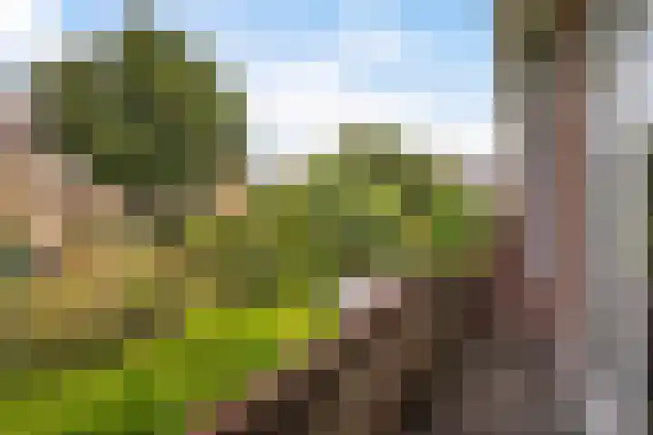 Sijzenlaan 61 Den Haag thumbnail 47