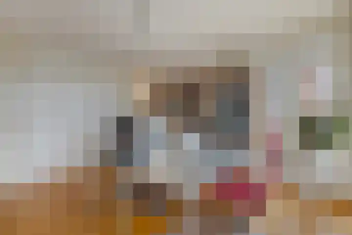 Sijzenlaan 61 Den Haag thumbnail 48