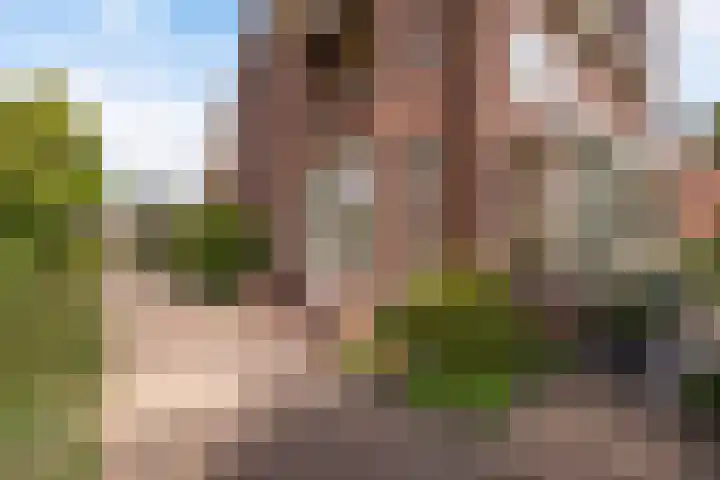 Sijzenlaan 61 Den Haag thumbnail 5