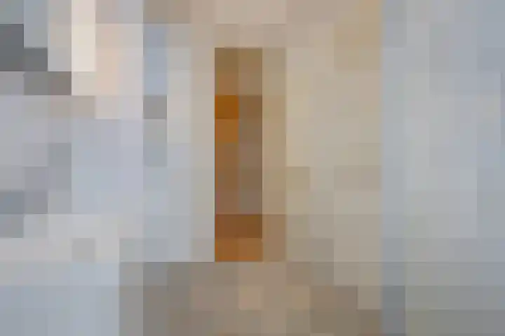 Sijzenlaan 61 Den Haag thumbnail 52