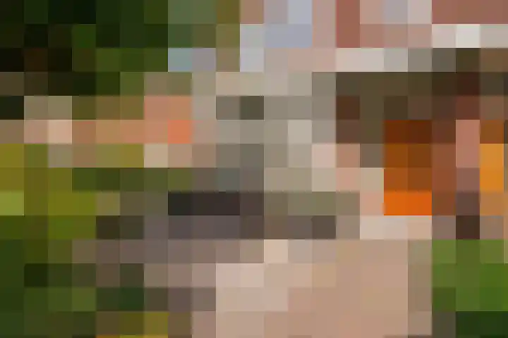 Sijzenlaan 61 Den Haag thumbnail 6