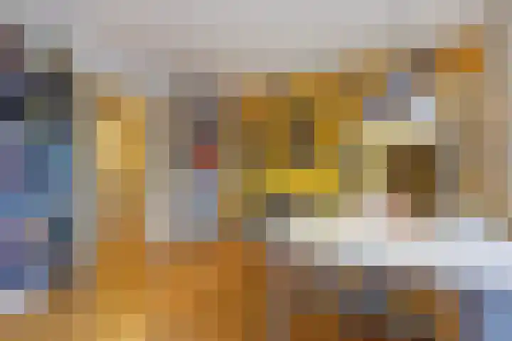 Sijzenlaan 61 Den Haag thumbnail 61