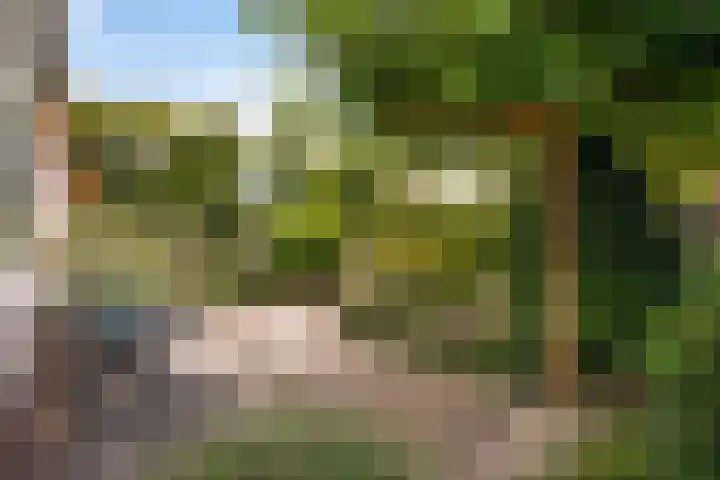 Sijzenlaan 61 Den Haag thumbnail 68