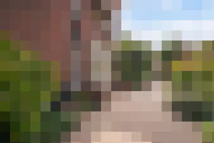 Sijzenlaan 61 Den Haag thumbnail 69