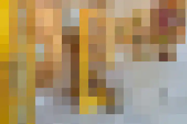 Sijzenlaan 61 Den Haag thumbnail 7