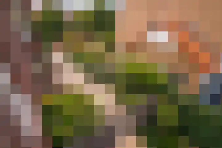 Sijzenlaan 61 Den Haag thumbnail 70