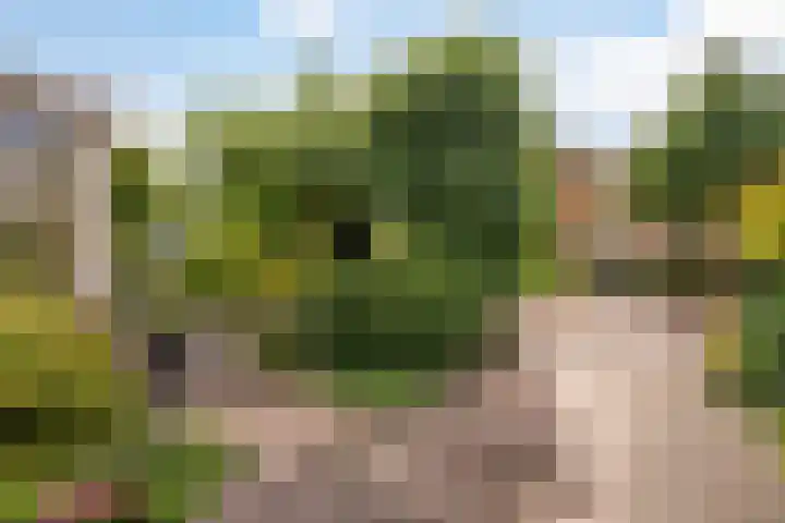 Sijzenlaan 61 Den Haag thumbnail 71