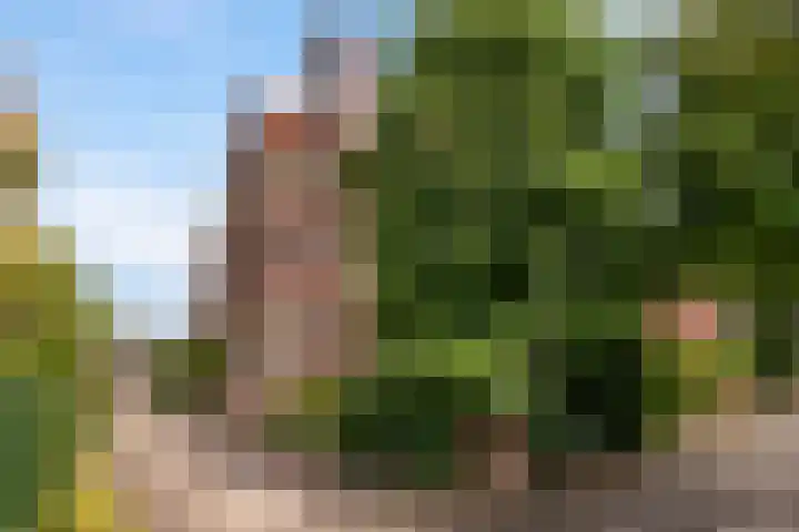 Sijzenlaan 61 Den Haag thumbnail 72
