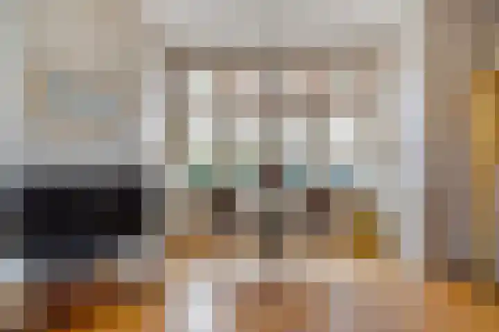 Sijzenlaan 61 Den Haag thumbnail 8