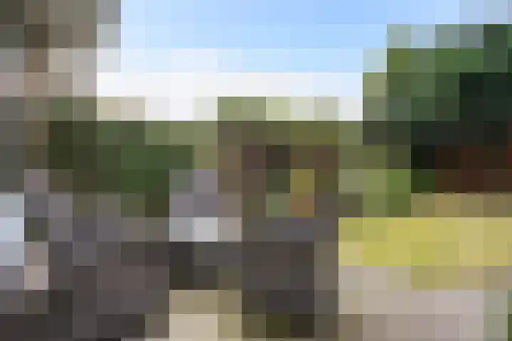 Sijzenlaan 65 Den Haag thumbnail 10