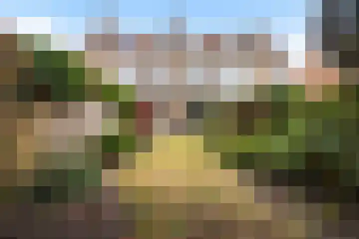 Sijzenlaan 65 Den Haag thumbnail 12