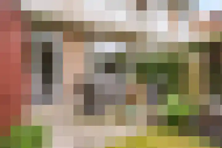 Sijzenlaan 65 Den Haag thumbnail 13