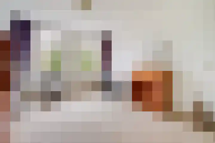 Sijzenlaan 65 Den Haag thumbnail 17