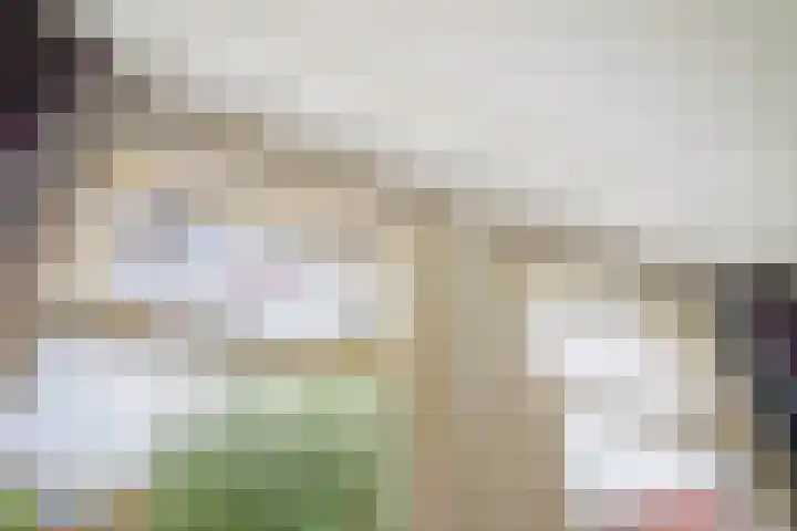 Sijzenlaan 65 Den Haag thumbnail 19