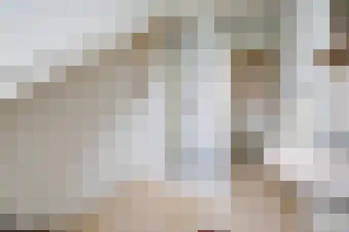 Sijzenlaan 65 Den Haag thumbnail 35