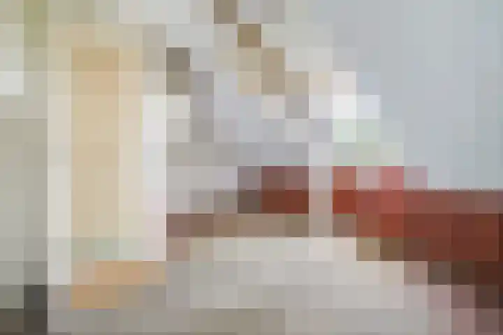 Sijzenlaan 65 Den Haag thumbnail 37