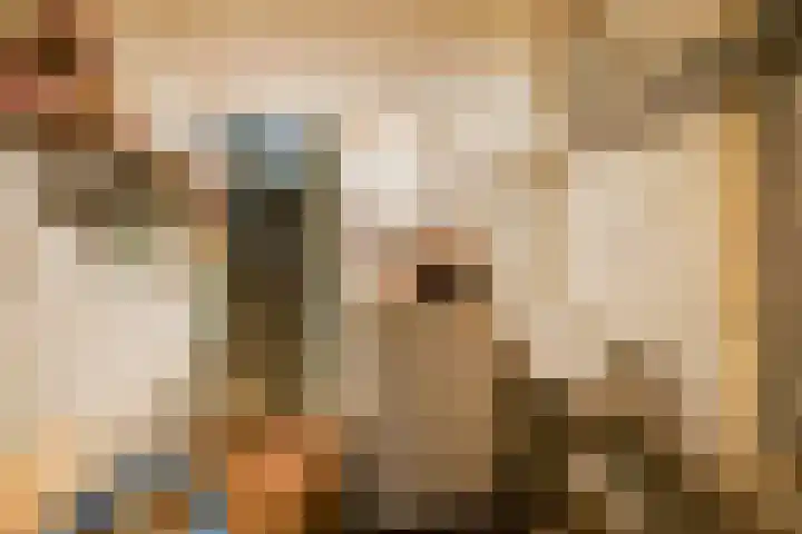 Sijzenlaan 65 Den Haag thumbnail 41