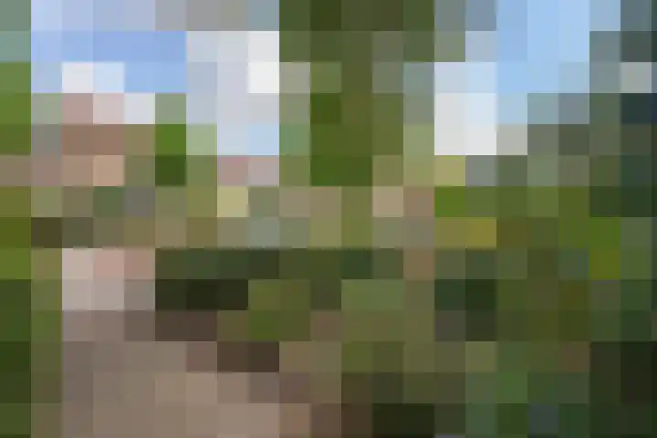 Sijzenlaan 65 Den Haag thumbnail 43