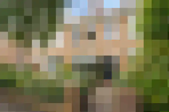 Sijzenlaan 65 Den Haag thumbnail 44