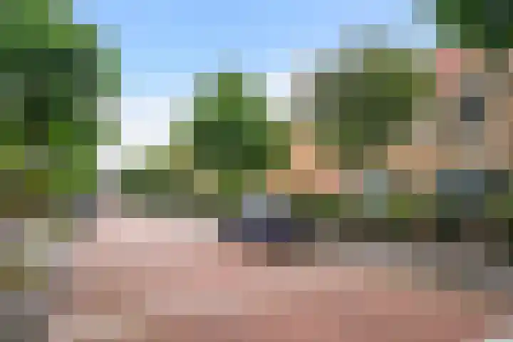Sijzenlaan 65 Den Haag thumbnail 45