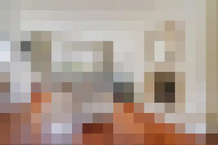 Sijzenlaan 65 Den Haag thumbnail 6