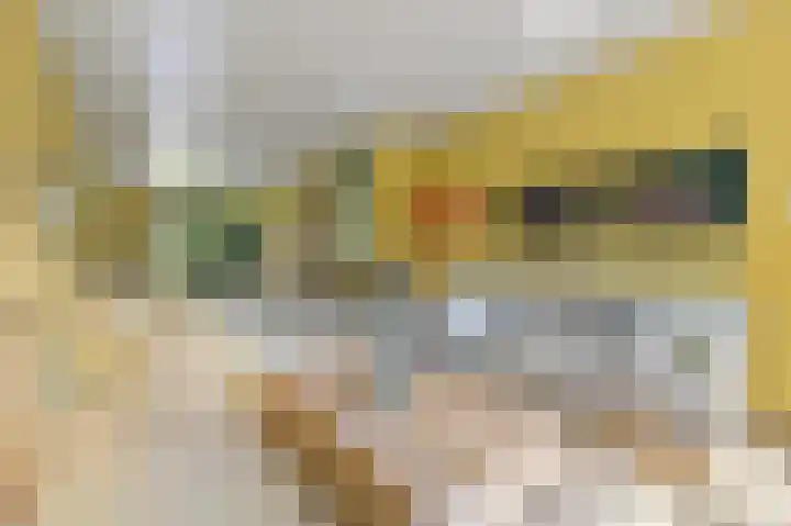 Sijzenlaan 71 Den Haag thumbnail 10