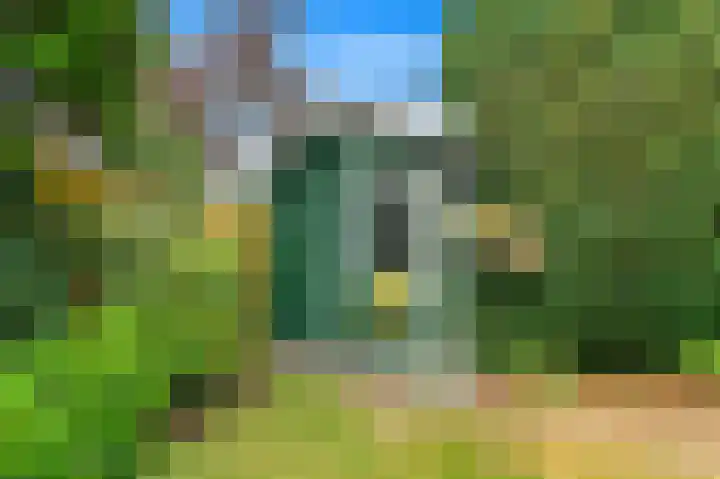 Sijzenlaan 71 Den Haag thumbnail 12