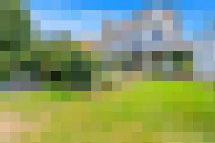 Sijzenlaan 71 Den Haag thumbnail 13