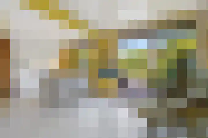 Sijzenlaan 71 Den Haag thumbnail 4