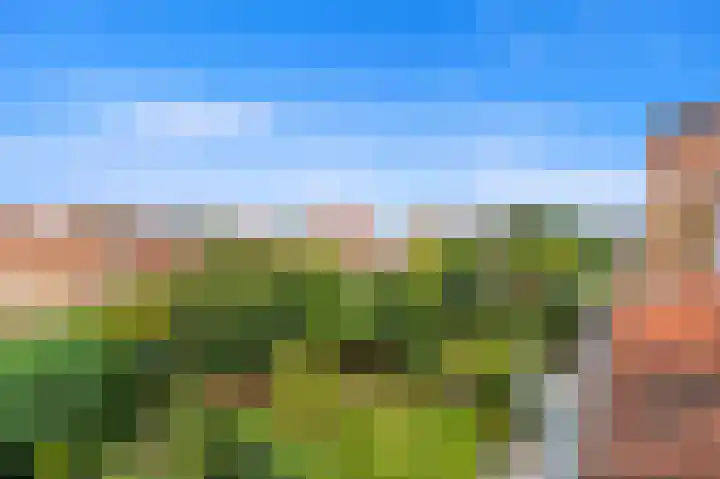 Sijzenlaan 71 Den Haag thumbnail 41