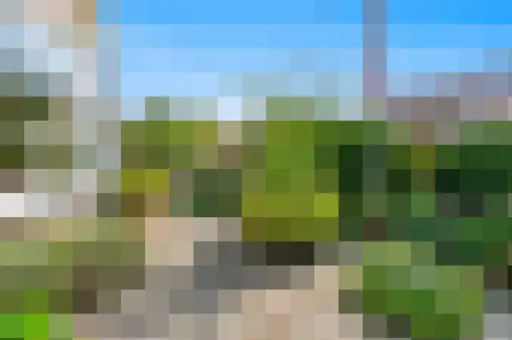 Sijzenlaan 71 Den Haag thumbnail 45