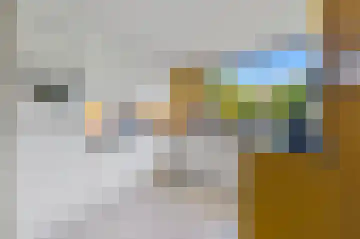 Sijzenlaan 71 Den Haag thumbnail 7