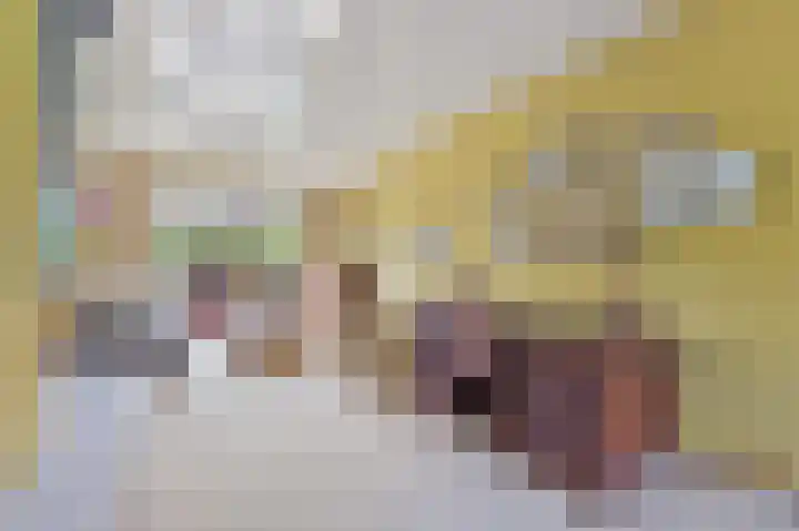Sijzenlaan 71 Den Haag thumbnail 9