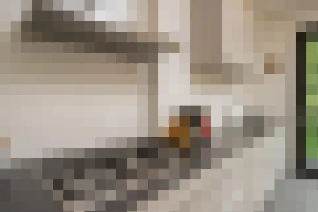 Sijzenlaan 72 Den Haag thumbnail 10
