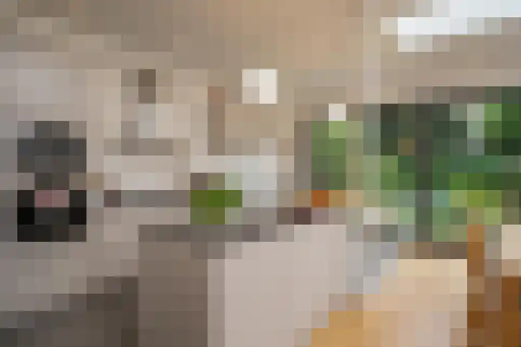 Sijzenlaan 72 Den Haag thumbnail 11