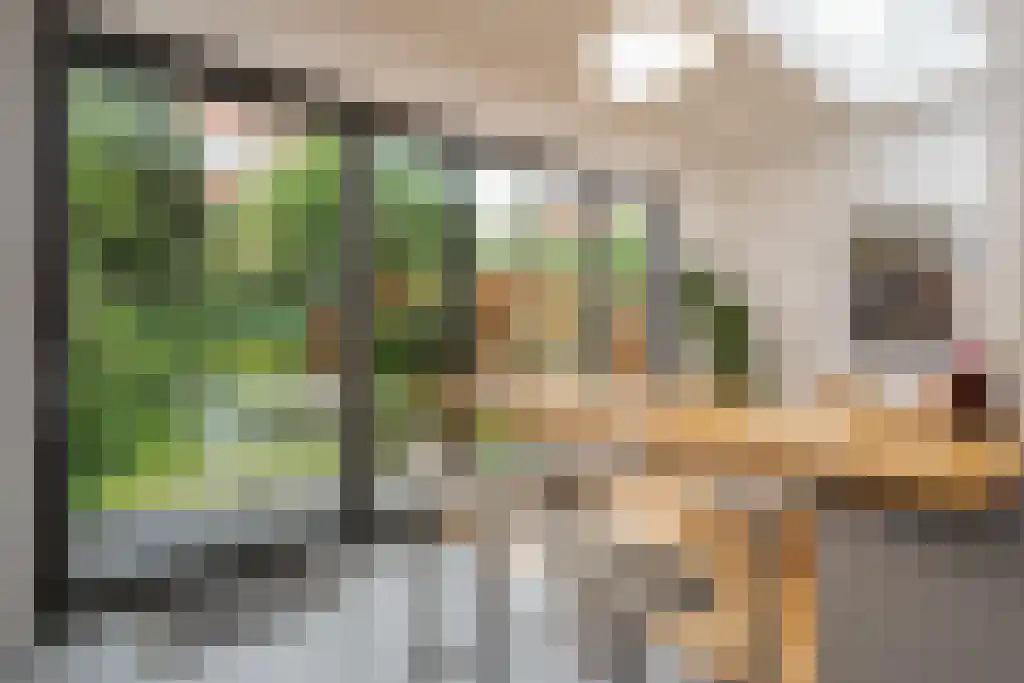 Sijzenlaan 72 Den Haag thumbnail 12
