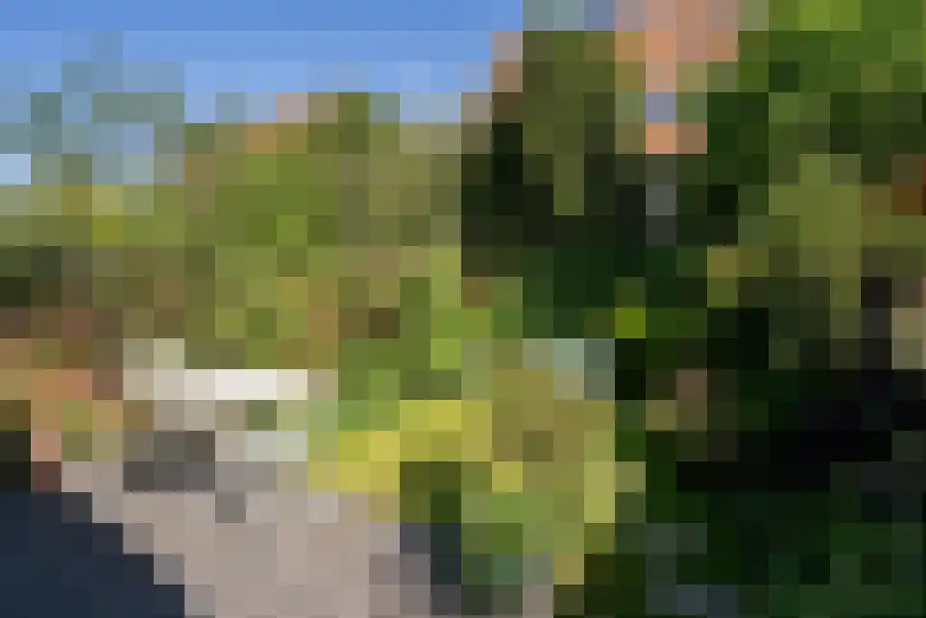 Sijzenlaan 72 Den Haag thumbnail 13