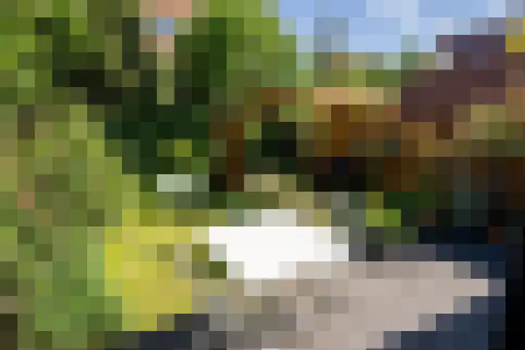 Sijzenlaan 72 Den Haag thumbnail 14