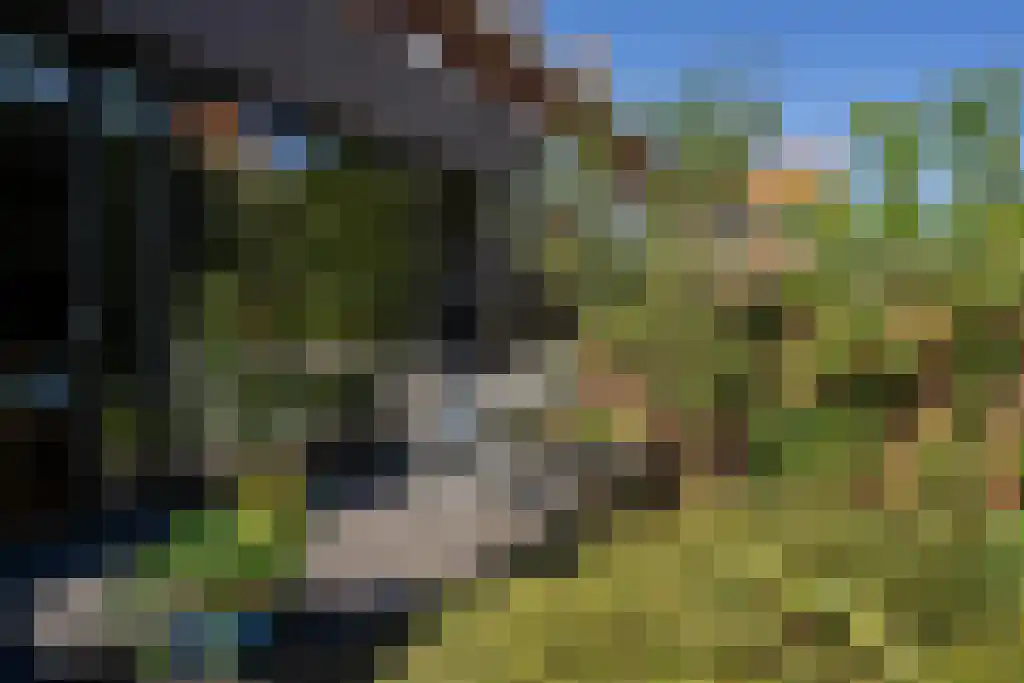 Sijzenlaan 72 Den Haag thumbnail 15