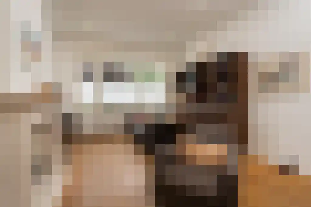 Sijzenlaan 72 Den Haag thumbnail 17