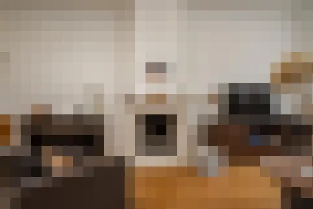 Sijzenlaan 72 Den Haag thumbnail 18