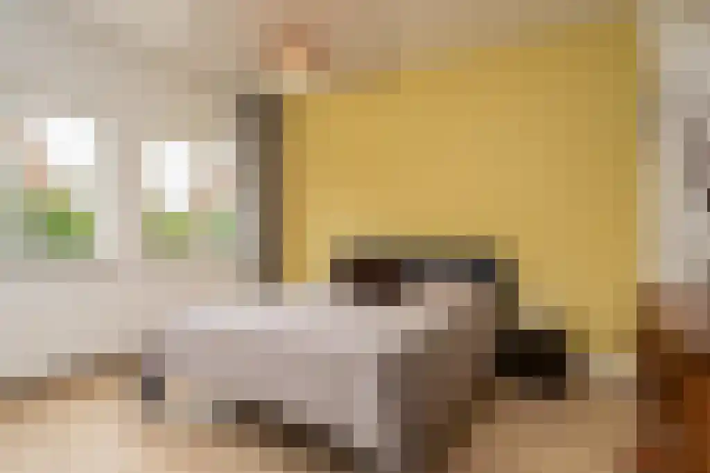 Sijzenlaan 72 Den Haag thumbnail 21