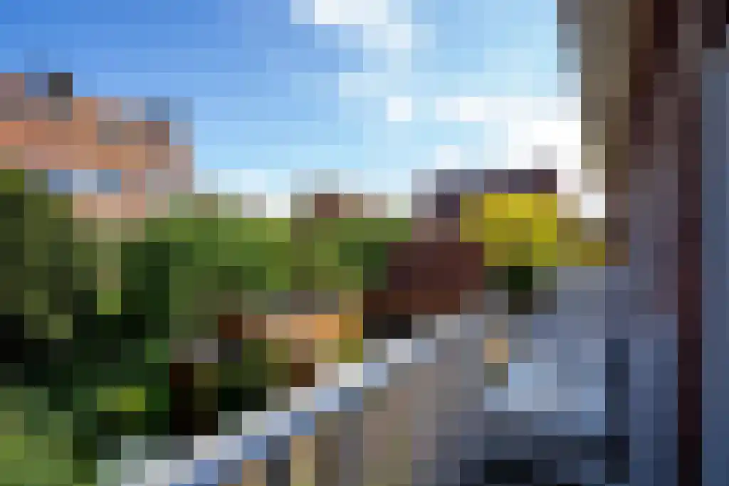 Sijzenlaan 72 Den Haag thumbnail 24