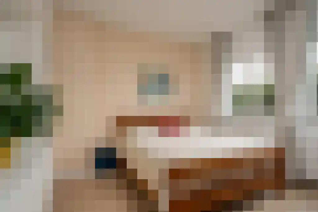 Sijzenlaan 72 Den Haag thumbnail 26