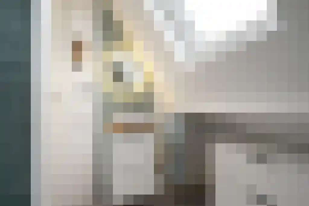 Sijzenlaan 72 Den Haag thumbnail 35