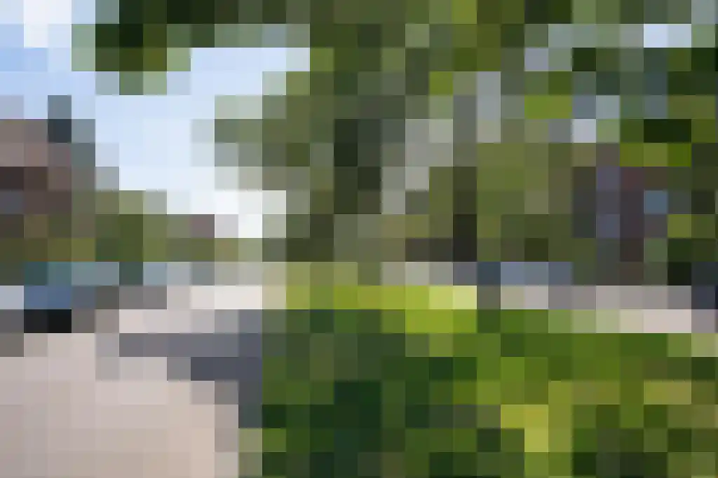 Sijzenlaan 72 Den Haag thumbnail 42